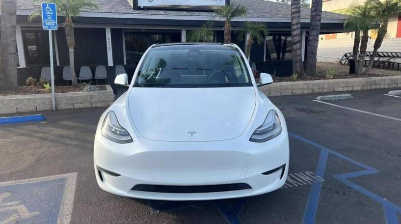 TESLA MODEL Y 2021 5YJYGDEE5MF285358 image